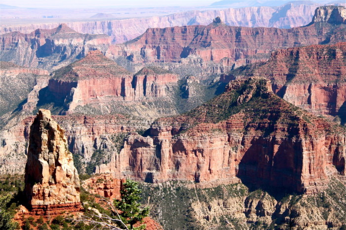 Grand Canyon Rive Nord / North Rim | Lost In The USA