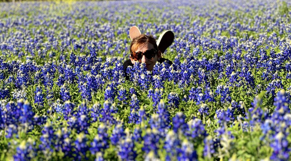 Bluebonnet